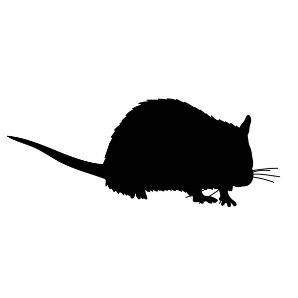 vector, on a white background, black silhouette of a rat, mouse - Vector, Image