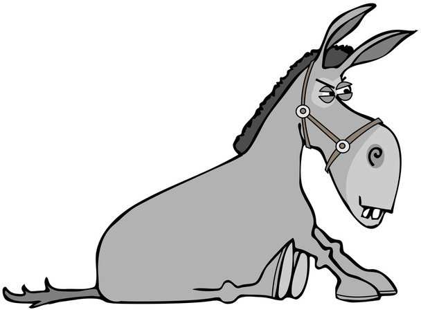 Stubborn donkey - Photo, Image