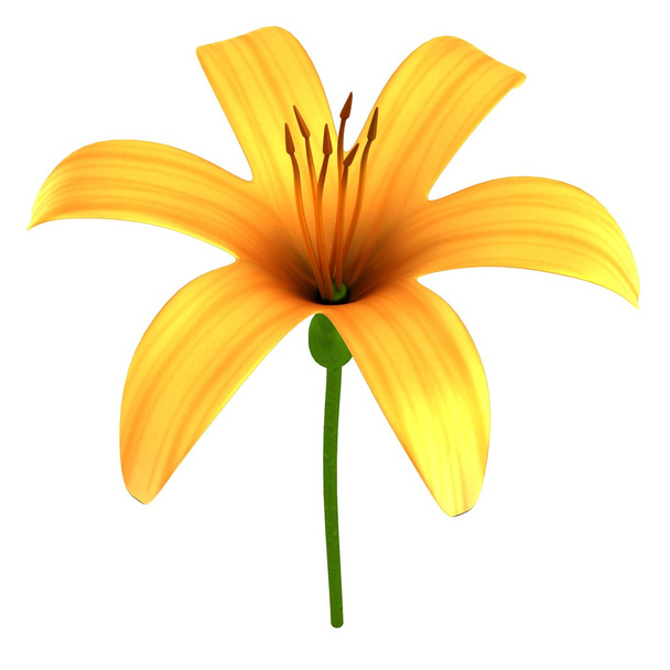 Realistic 3d render of apricot lilly - Photo, Image
