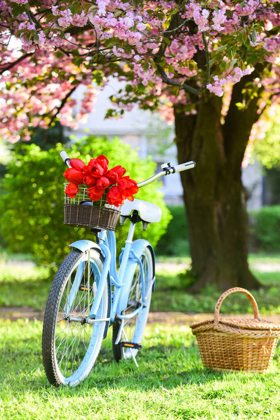Bike rental shops primarily serve typically travellers and tourists. Vintage fancy bike blooming garden background. Rent bike to explore city. Nature cycling tour. Retro bicycle with picnic basket - Foto, Bild