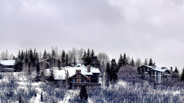 Panorama Snowy mountain top with houses that sit amid trees and evergreens in Park City - Photo, Image