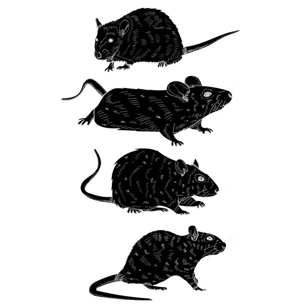  silhouette d'un rat, souris, ensemble - Vecteur, image