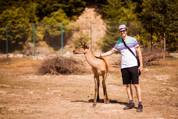 Touristenmann berührt junges Reh im Zoo der Karpaten mit der Hand - Foto, Bild