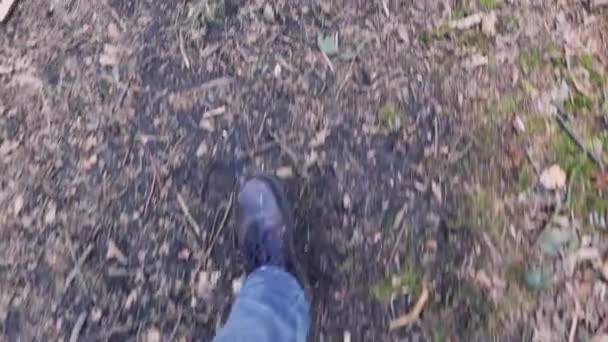 Para męskich nóg spacerująca po leśnym szlaku w brązowych skórzanych butach - Materiał filmowy, wideo