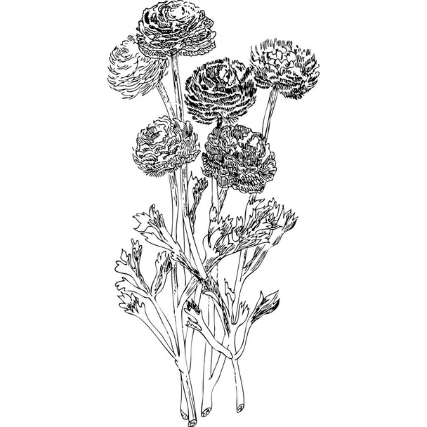 Flowers single object for art interpretations experiment - Vetor, Imagem