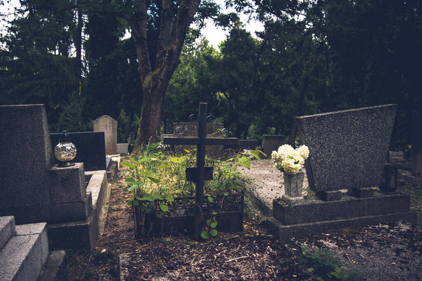 calme et silence dans le cimetière pendant les vacances cristian en saison automnale colorée - Photo, image