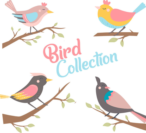 kleurrijke vogel collecties illustratie vector - Vector, afbeelding