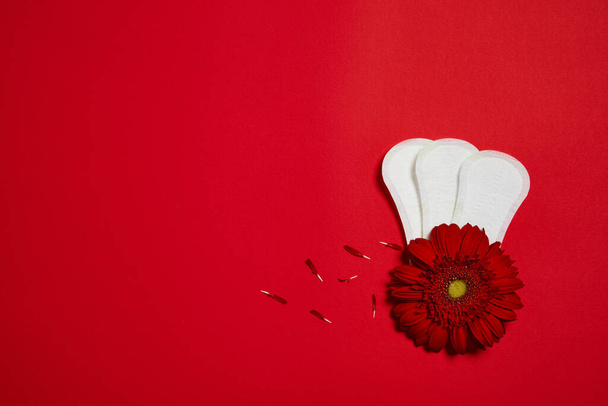 menstrual pads and red flower - Fotografie, Obrázek