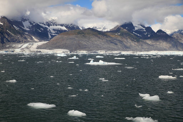 ice and icebergs in the environment of Columbia Glacier, Columbia Bay, Valdez, Alaska - Fotografie, Obrázek