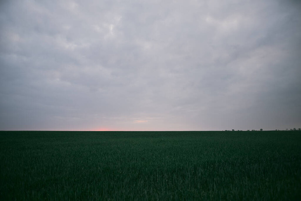 oscuro campo verde nublado puesta de sol después de la tormenta
 - Foto, Imagen