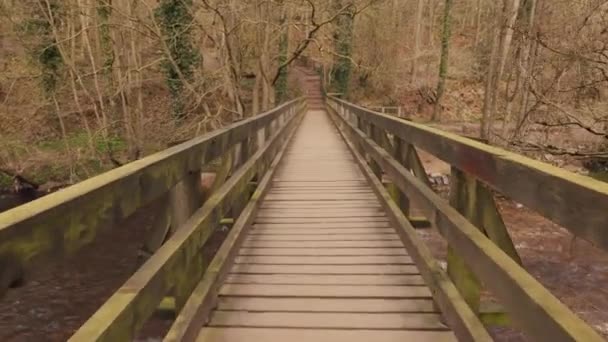 Átsétálni egy fából készült gyaloghídon az erdőben egy folyó felett. Az első ember, aki látja, hogy valaki átsétál egy fából készült gyaloghídon egy folyó felett az erdőben. - Felvétel, videó