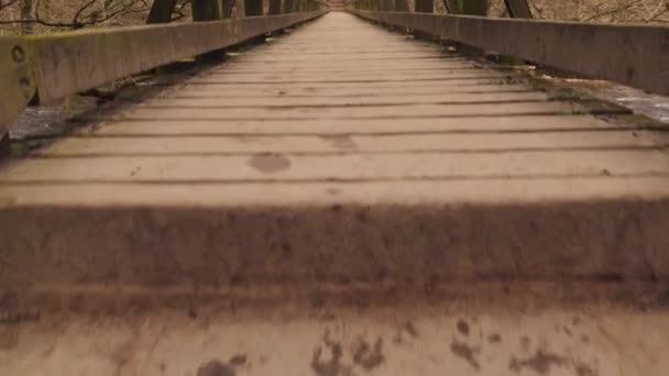 Átsétálni egy faláb hídon az erdőben egy folyó felett. Az első ember, aki látja, hogy valaki átsétál egy fából készült gyaloghídon egy folyó felett az erdőben. - Felvétel, videó