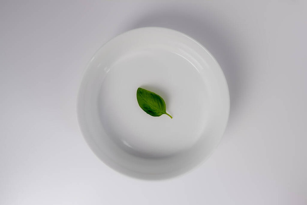 minimalistic shot of a basil leaf on a white plate and background - Photo, image