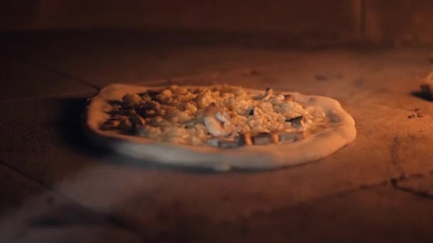 raw pizza dough with chopped ingredients lies in stone oven - Felvétel, videó