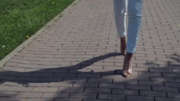 Κομψή γυναίκα περπατώντας στο μονοπάτι στο πάρκο - Πλάνα, βίντεο