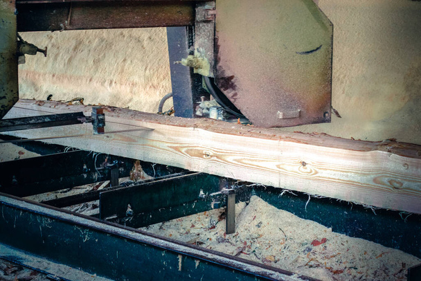 Лесопилка. Процесс обработки бревен в лесопильных станках пилит ствол дерева - Фото, изображение