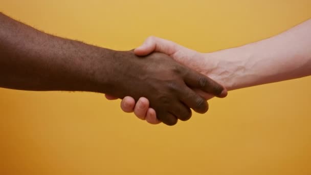 握手を閉じてください。黒と白の手、異人種間の友情と協力の概念 - 映像、動画