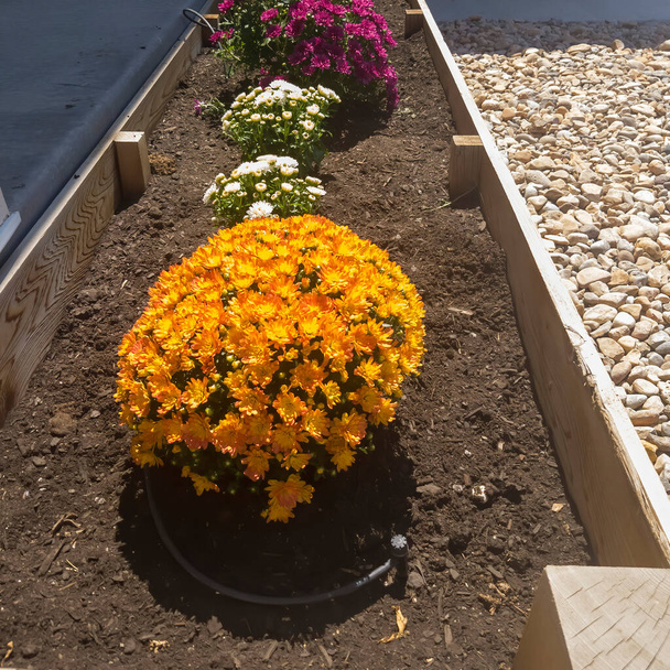 Plaza de plantación de madera levantada cama con flores de colores a lo largo del porche delantero del hogar
 - Foto, imagen