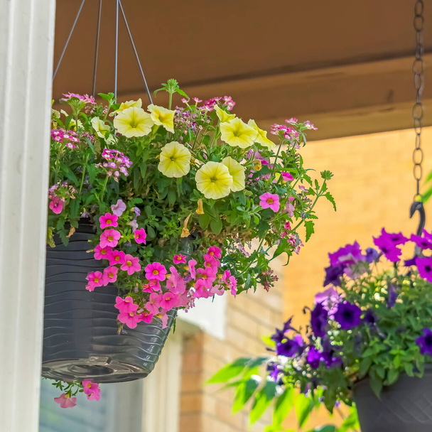 Kare renginde saksı çiçekleri güzel bir evin verandasında zincirlerle asılı duruyor. - Fotoğraf, Görsel