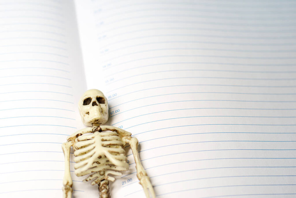 скелет находится между страницами открытого дневника. пустые страницы без надписи
 - Фото, изображение
