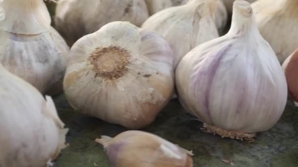 Eco Garlic Clove or Garlic Bulb на сайті Vintage Wooden Background - Кадри, відео