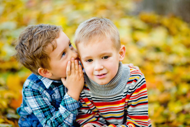 少年は黄色の葉を背景に、秋の公園で耳の中の彼の友人に秘密を伝えます。少年は彼が聞いたことに驚いている。. - 写真・画像