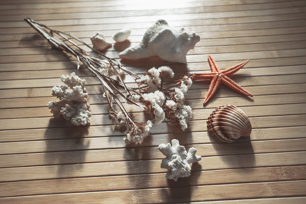 Sea objects on wood background. - Foto, afbeelding