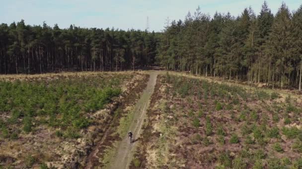 Drone footage of a person mountain biking along an empty country track heading away from a forest on a sunny morning in North Yorkshire England completely isolated - Footage, Video