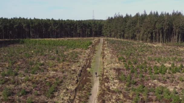 Drónfelvételek egy személyről, amint hegyi biciklizik egy üres országúton, ami egy erdő felé tart egy napos reggelen Észak-Yorkshire-ben Anglia teljesen elszigetelve - Felvétel, videó