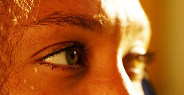 Close up retrato de olhos, pestanas e nariz com alguns cabelos encaracolados
 - Foto, Imagem