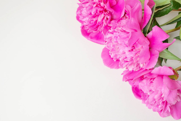 Bright fresh pink peonies lie on a light background. Copyspace, top view. The concept of a holiday, birthday, Valentine's Day, gift, declaration of love. - Фото, зображення