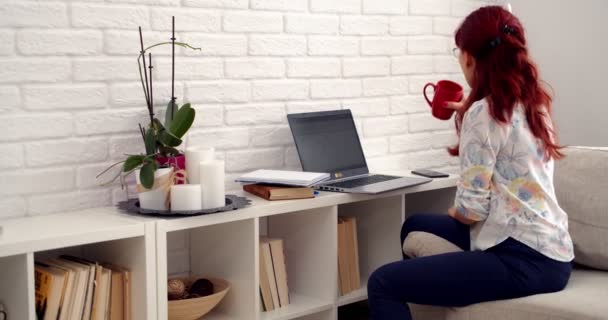 Työtä kotikonseptista. Liikenainen freelancer työskentelevät kotoa kirjoittamalla sähköpostia kannettavan, keskittynyt tyttö tietokoneella istuu sohvalla, naispuolinen käyttäjä kiireinen etäisyyden internet työtä, 4k - Materiaali, video