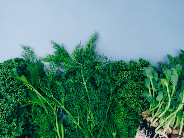 Dill Petersilie Mangold Micro Greens Schalotten auf blauem Hintergrund. Nährstoffreiches Gemüse reich an Vitaminen, Antioxidantien, Ballaststoffen - Foto, Bild