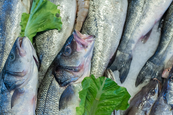 魚市場の氷の上の魚介類 - 写真・画像