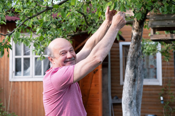 Καυκάσιος μεσήλικας άντρας εξετάζει το φύλλωμα για παράσιτα στη μηλιά - Φωτογραφία, εικόνα