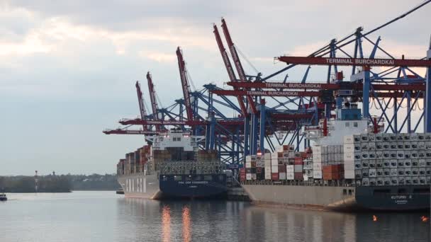 Containerschiff im Hafen - Filmmaterial, Video