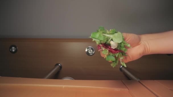 Fresh green salad leaf dropped on food - Video