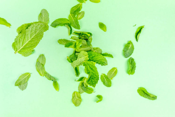 Mint leaves falling to the trendy solid green backdrop, ecology and messthetics concept - Photo, Image