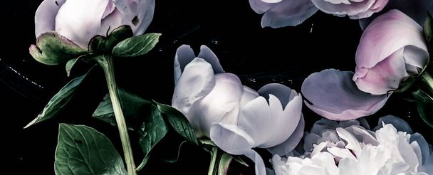 Pastel pioenroos bloemen als bloem kunst achtergrond, botanische flatlay en luxe branding - Foto, afbeelding