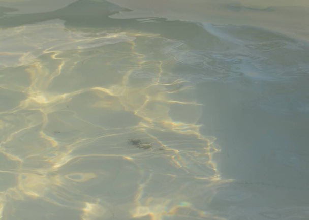 сверкающий фон из воды, мерцающей на солнце
 - Фото, изображение