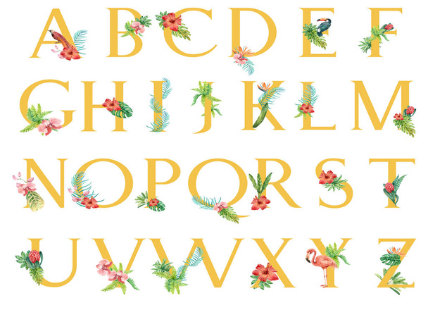 stylish alphabet template design with text, vector illustration - Vektori, kuva