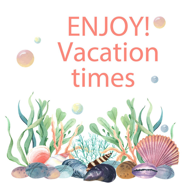 Concha do mar vida marinha verão viagem na praia, aquarelle isolado, ilustração vetorial Cor Coral 2019 na moda - Vetor, Imagem