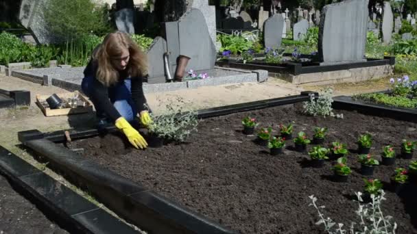 Girl plant graveyard - Footage, Video