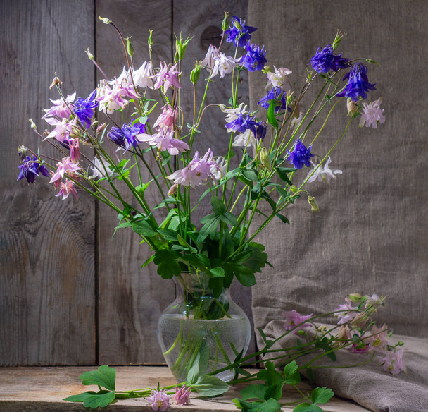 Rústico ainda vida em um vaso de vidro belas flores rosa branco azul Aquilegia fundo de madeira
.  - Foto, Imagem