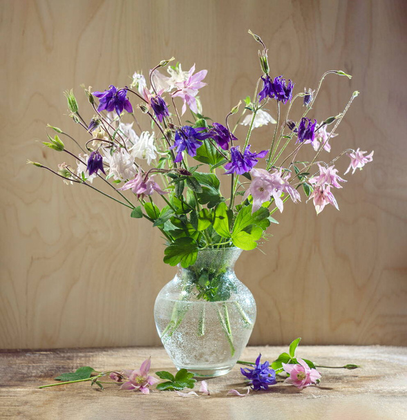 Rustieke stilleven in een glazen vaas mooie bloemen roze wit blauw Aquilegia houten achtergrond.  - Foto, afbeelding