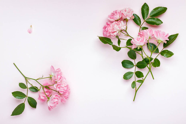 Pink rose flowers on pink background. Framework, flower composition. Flat lay. Top view. Copy space. - Photo, Image
