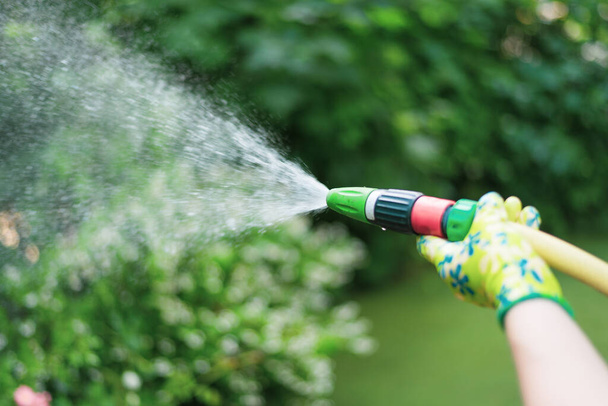 Working watering garden from hose - Fotografie, Obrázek