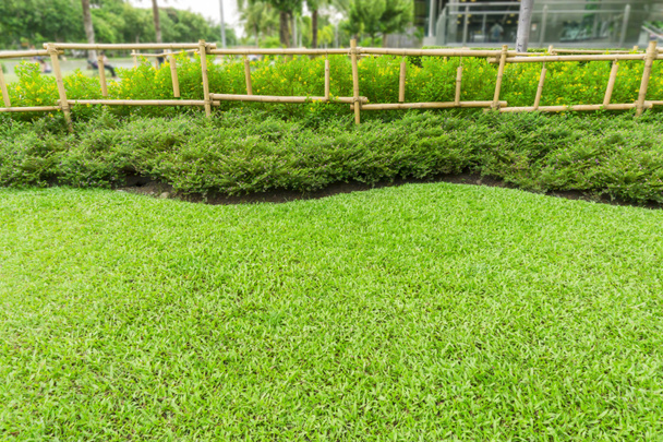 Fresh green carpet grass yard, smooth lawn, shrubs and bamboo fence in a good care garden - Photo, Image