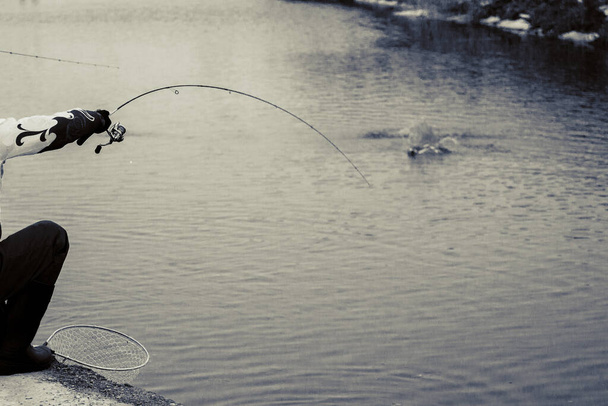 Trout fishing on the lake. Fishing recreation - Photo, Image