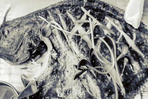 Plie cuite au four sur fond d'aliments de table
 - Photo, image